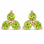 Round Prong Set Stud Earrings