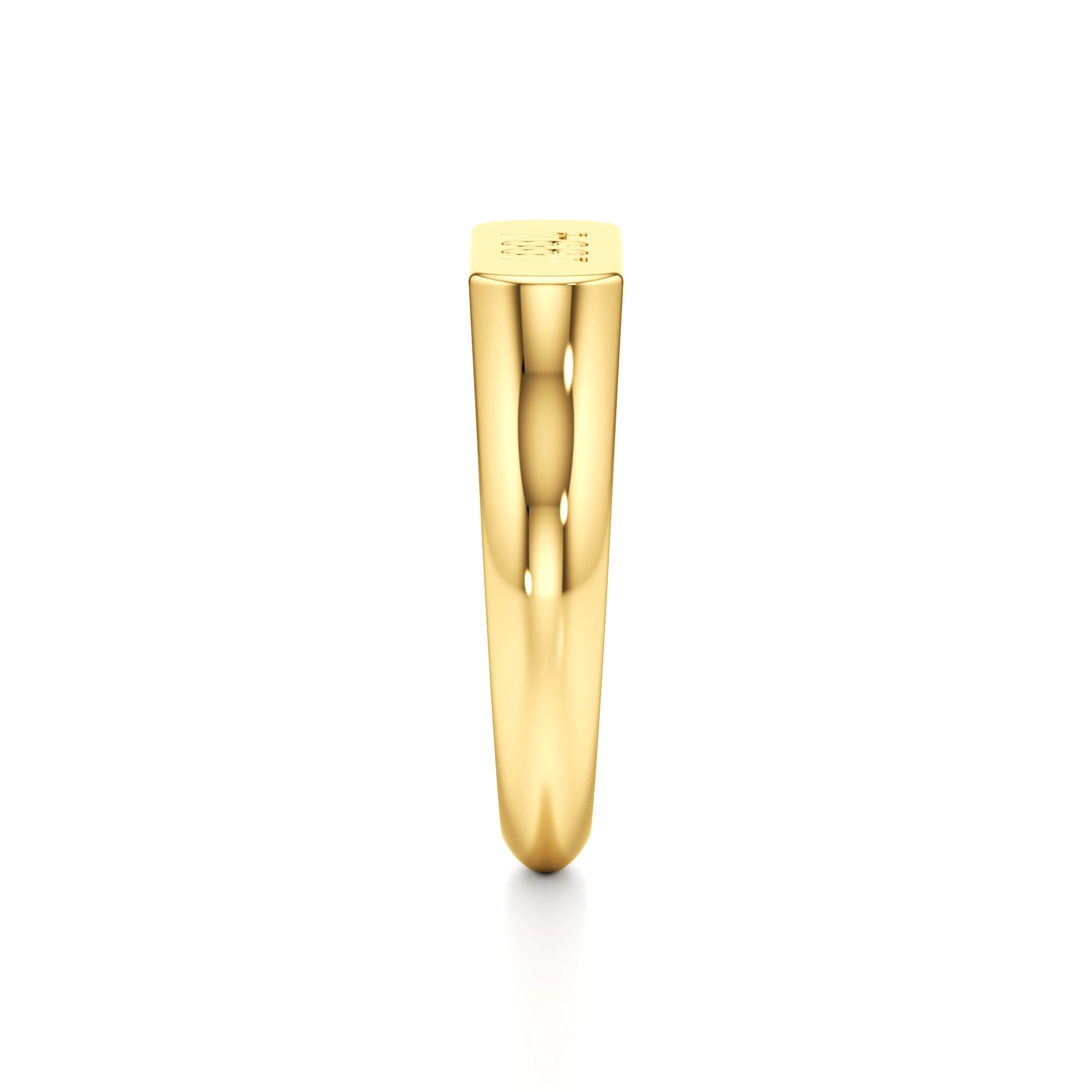 Dainty Year Signet Ring