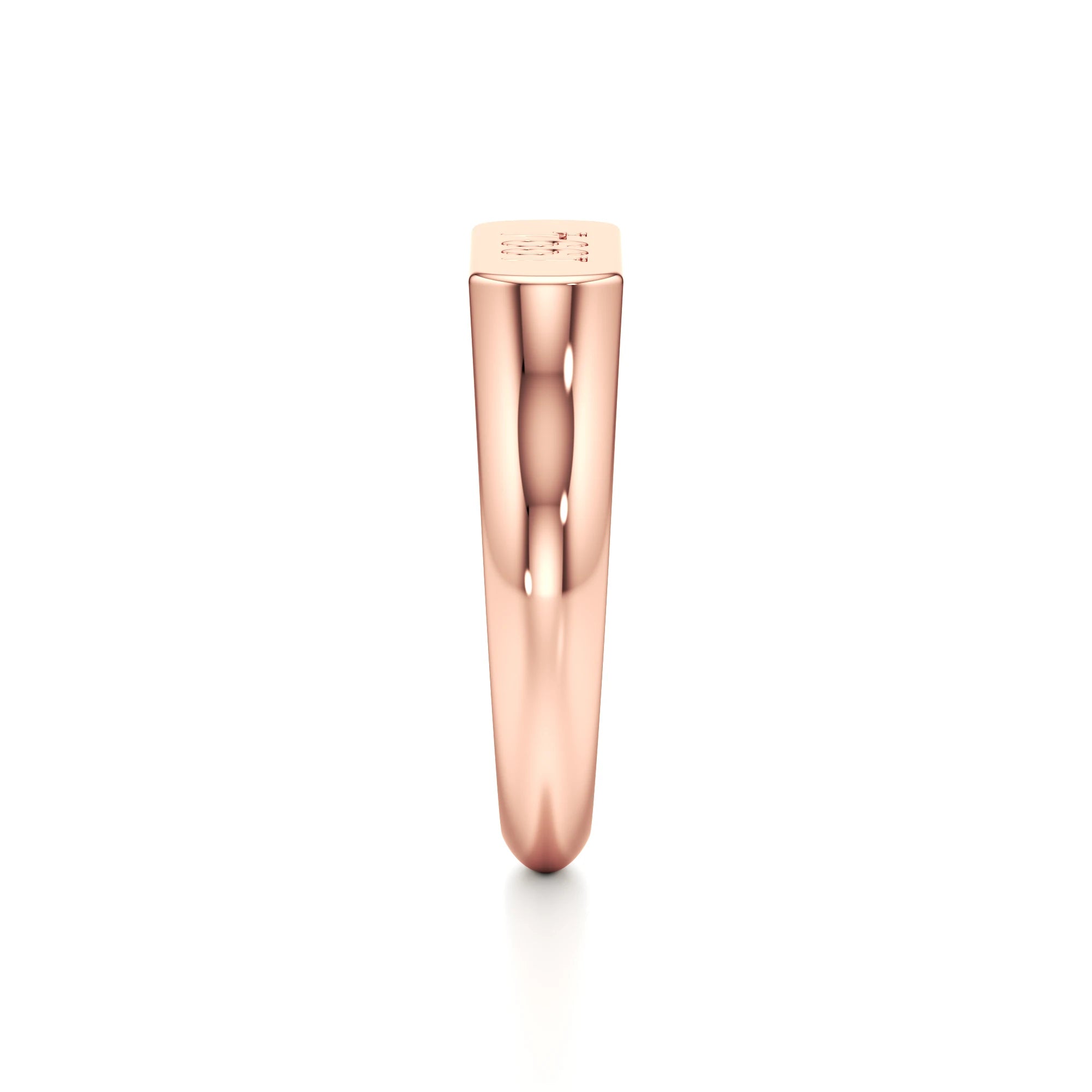 Dainty Year Signet Ring